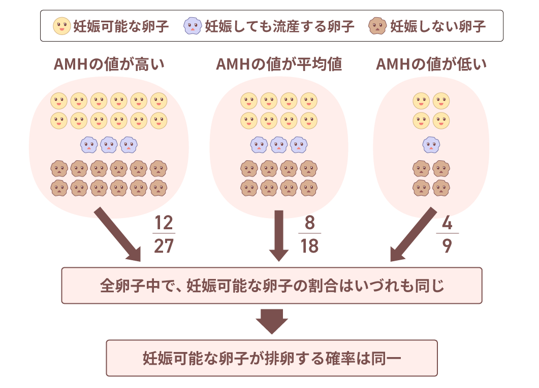 AMHが低いと妊娠できないのか